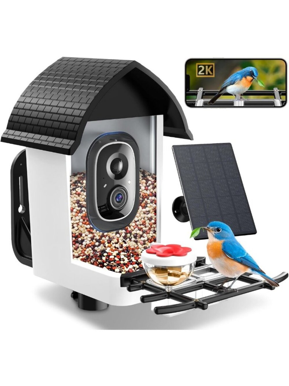 Solar-Powered Smart Bird Feeder with 2K HD Camera for Bird Watching & Monitoring